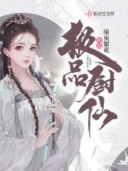 极品厨仙全集