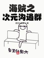 海贼次元聊天群