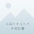塔尔战纪官网