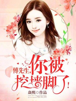 傅先生你失宠了简介
