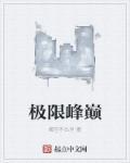 极限巅峰是什么游戏