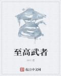 至高之拳什么意思