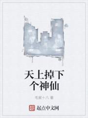 天上掉下个神仙电视剧 天上掉下个神仙电视剧