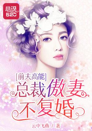 傲娇总裁前妻不好追