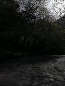 凝望是什么 凝望是什么