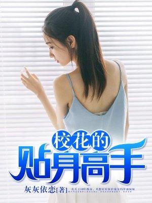 校花的贴身高手境界划分