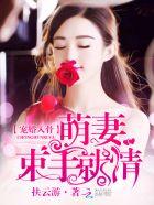 宠婚萌爱