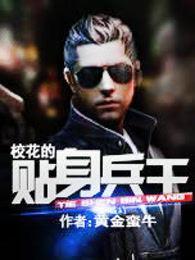 校花的贴身兵王 艾连 校花的贴身兵王 艾连