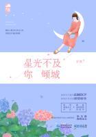 星光不及你倾城主人公
