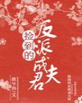 捡到的反派成夫君讲的是什么
