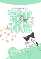 宫墙上的猫