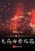 魔法火药与告死鸦 闲笔留白