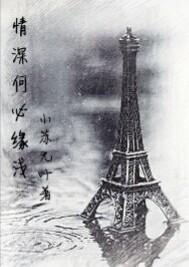 何必情深一场全文免费