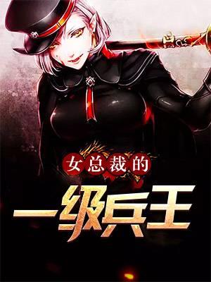 女总裁的极品兵王
