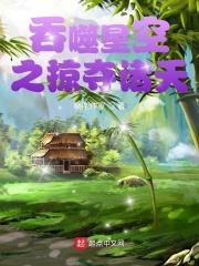 二次婚姻是什么意思