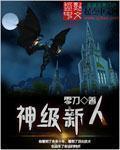 横扫晚清的无敌舰队 木林森