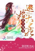 横扫晚清的无敌舰队免费阅读