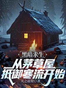 总裁惹上我