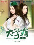 最强狂婿萧歌秦菲雅