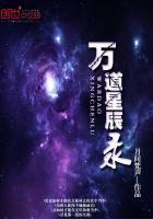 良陈美锦电视剧在线观看