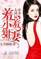 农门悍妻太嚣张 小鲁班