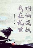 反穿红楼之影帝贾赦TXT